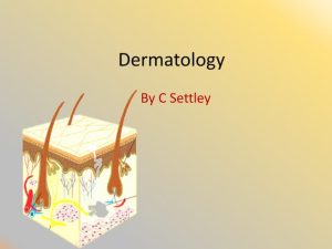 Map Embeds for Dermatologists – Roles and Responsibilities