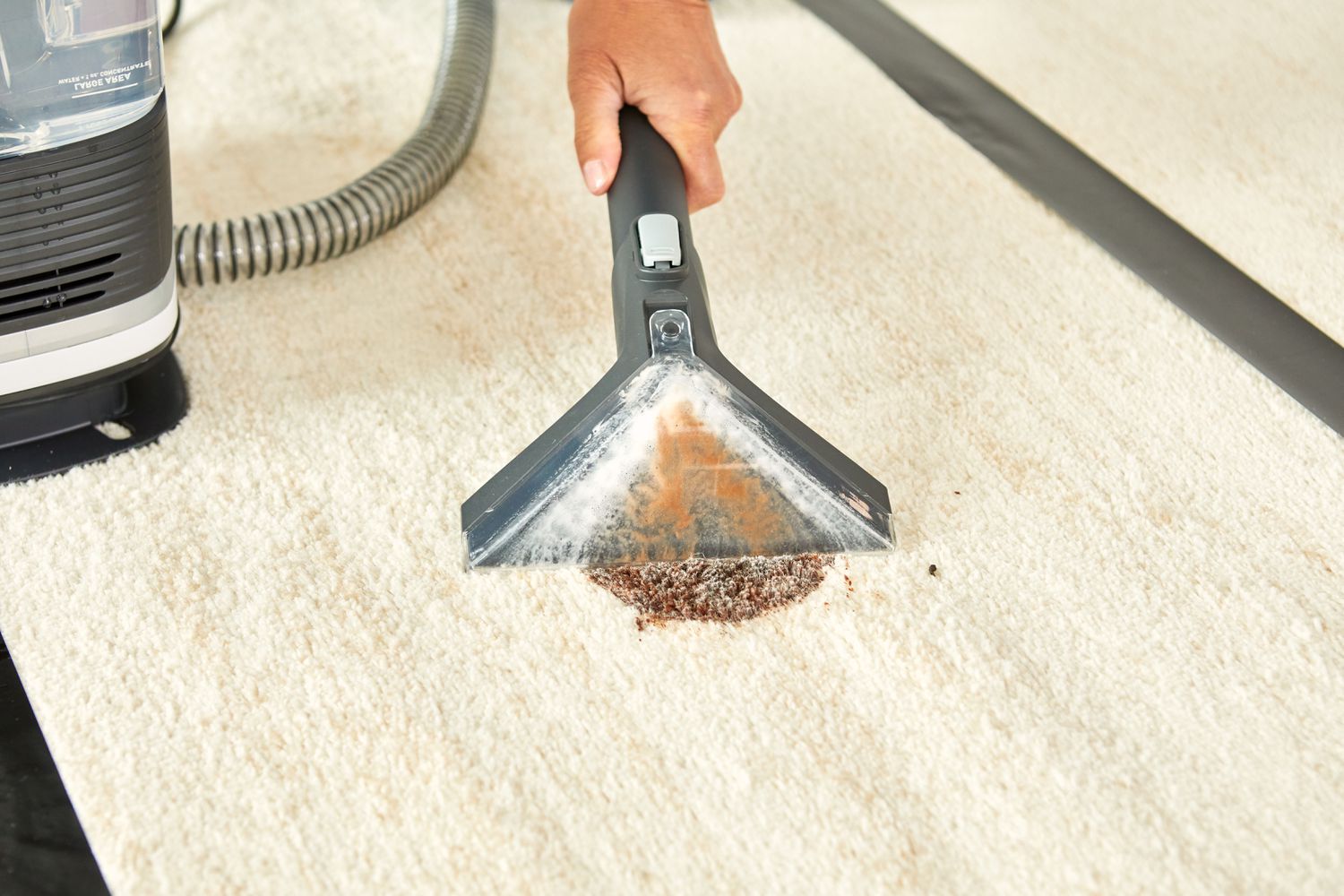 carpet cleaning Christchurch