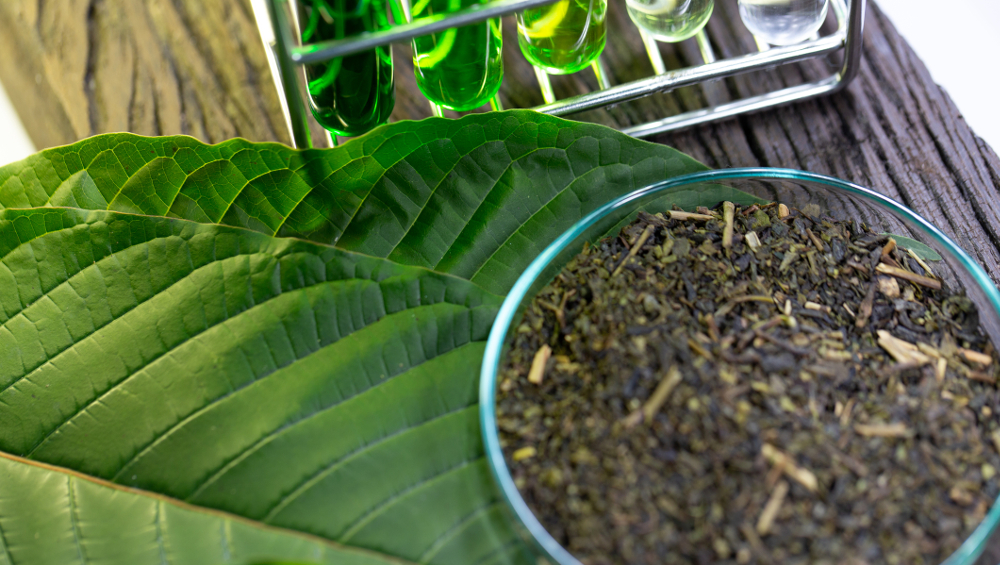 Top Kratom Strains for Energy, Focus, and Relaxation