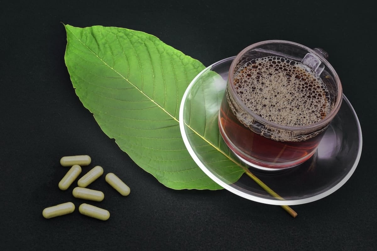 kratom harvesting